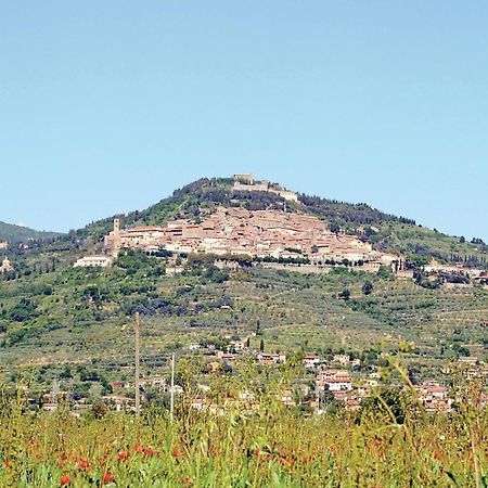 Il Marinocchio Di Malatesti Arezzo Zewnętrze zdjęcie